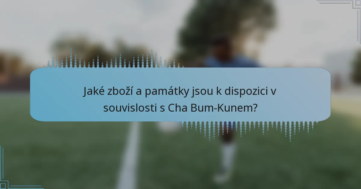 Jaké zboží a památky jsou k dispozici v souvislosti s Cha Bum-Kunem?